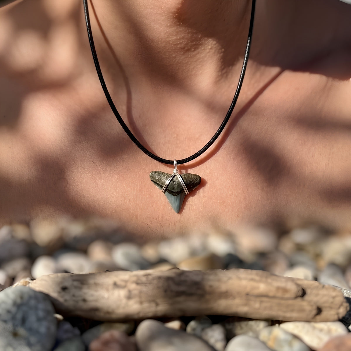 Shark Tooth Necklace